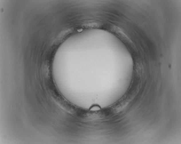 X0000074310259200609152014