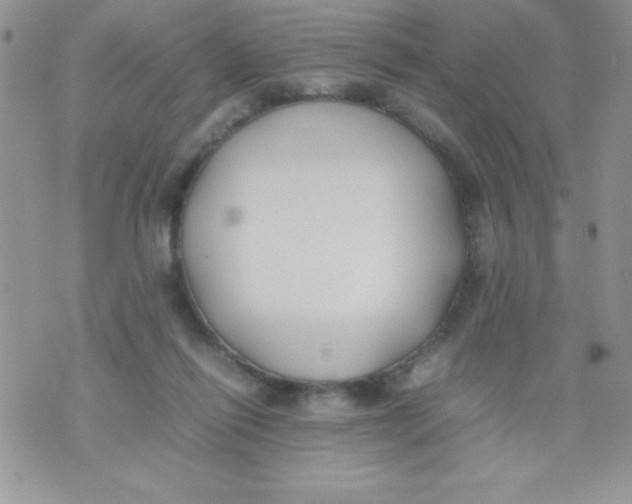 X0000074310262200609152014