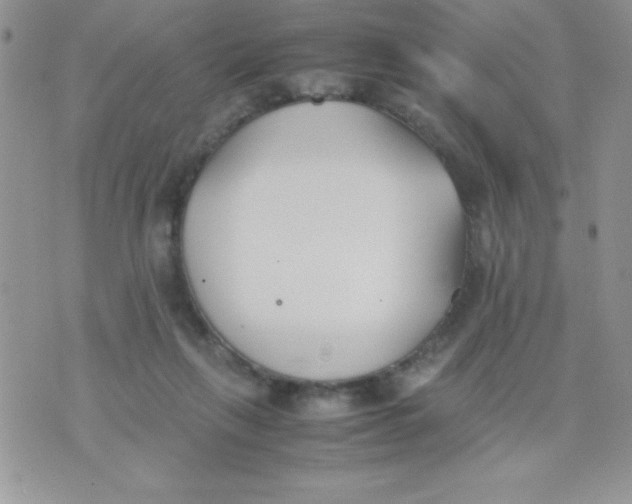 X0000074310263200609152014