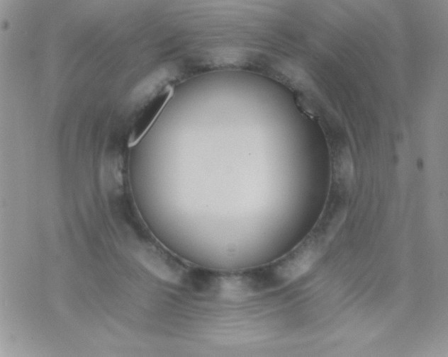 X0000074310264200609152014