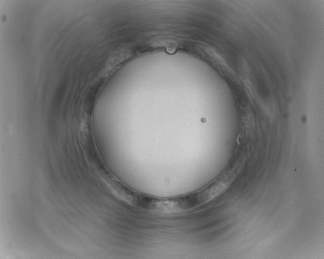 X0000074310265200609152014