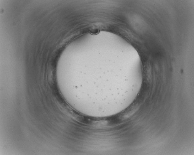 X0000074310266200609152014