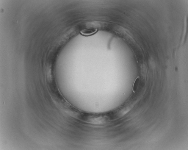 X0000074310267200609152014