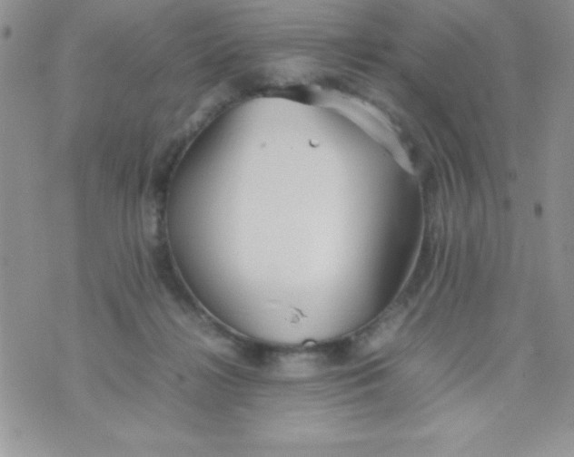 X0000074310268200609152014