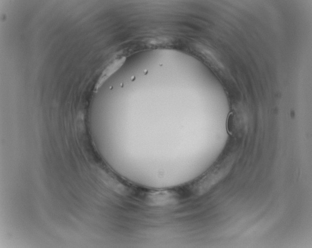 X0000074310269200609152014