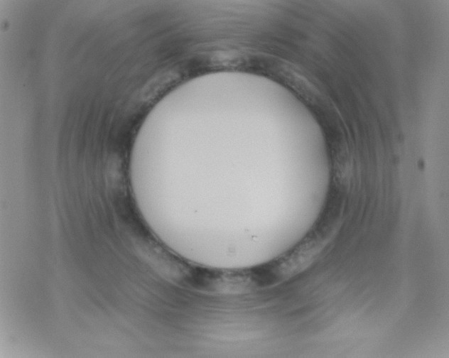 X0000074310270200609152014