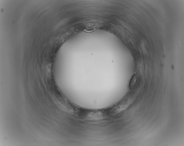 X0000074310271200609152014