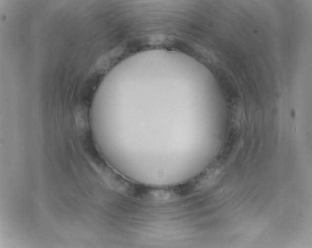 X0000074310272200609152014