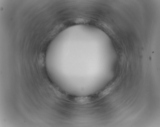 X0000074310273200609152014