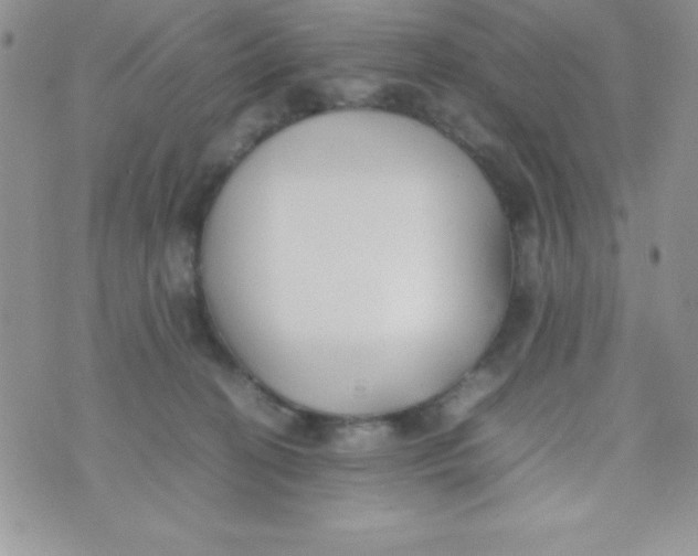 X0000074310274200609152014