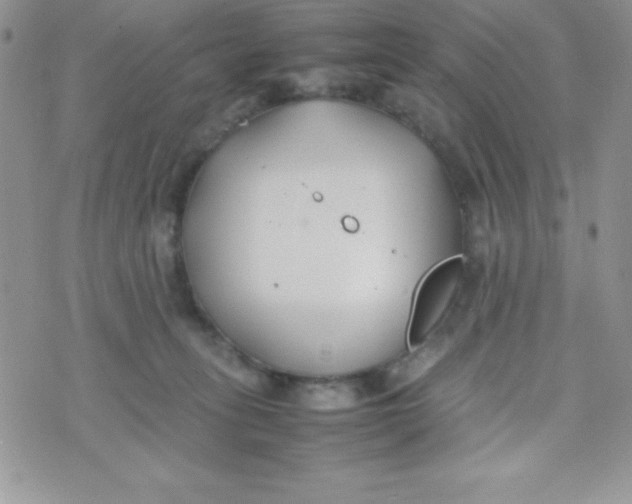 X0000074310275200609152014