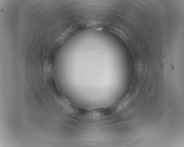 X0000074310276200609152014