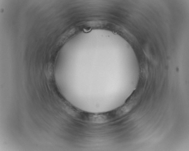 X0000074310277200609152014