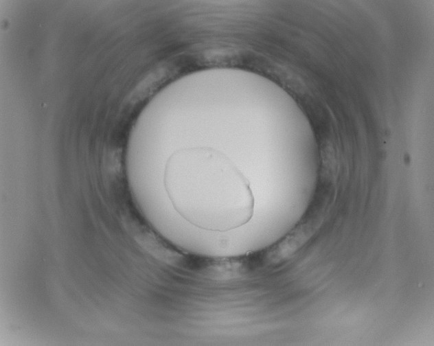 X0000074310278200609152014