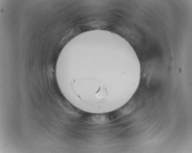 X0000074310279200609152014