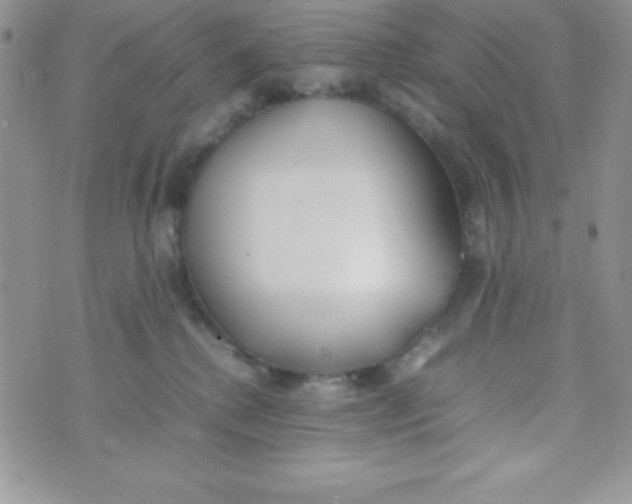 X0000074310280200609152014