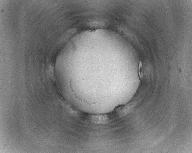 X0000074310281200609152014