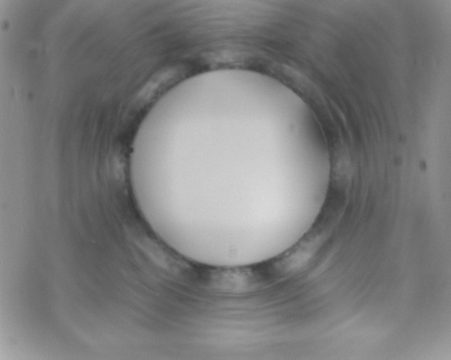 X0000074310282200609152014