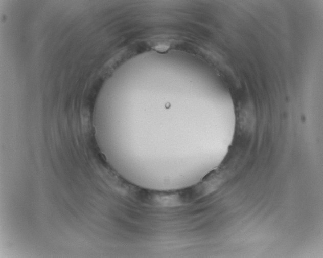 X0000074310283200609152014