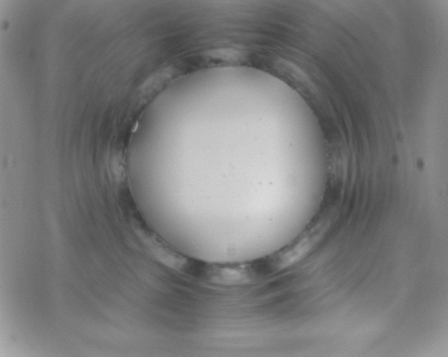 X0000074310285200609152014