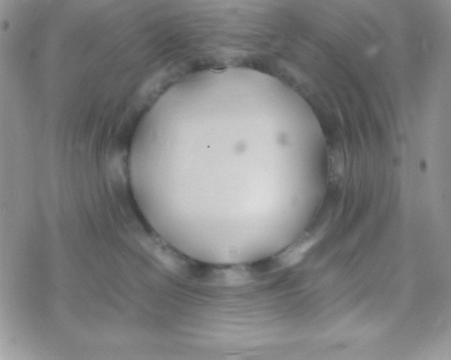 X0000074310286200609152014