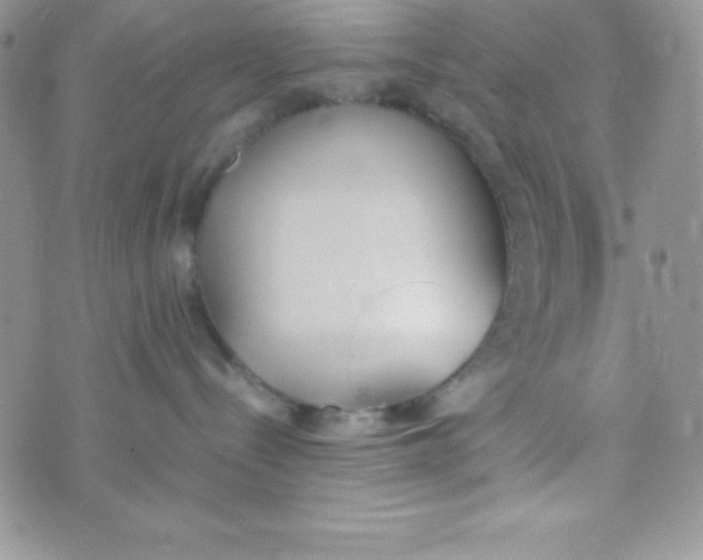 X0000074310288200609152015