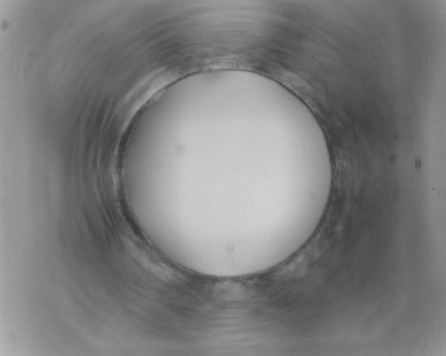 X0000074310290200609152014