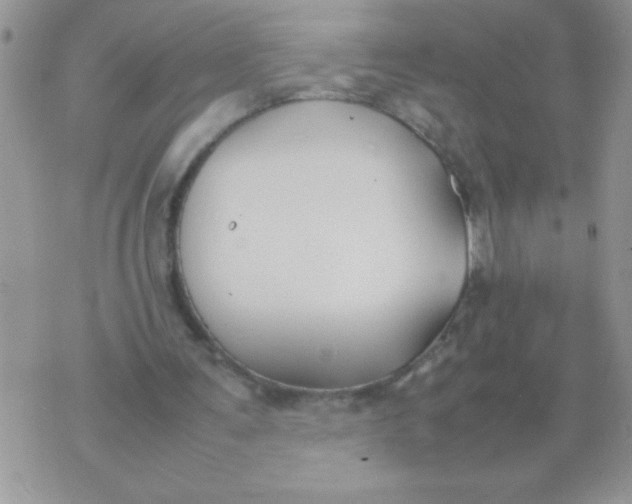 X0000074310291200609152014