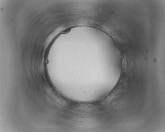 X0000074310292200609152014