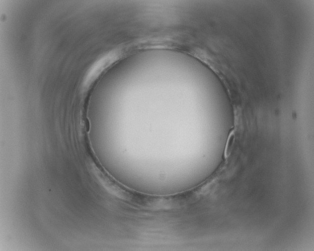 X0000074310293200609152014