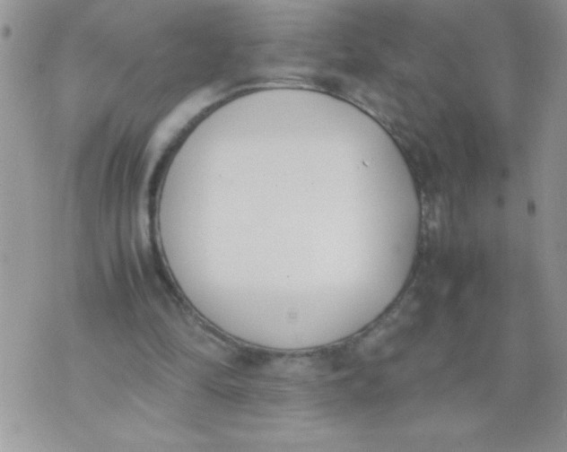 X0000074310294200609152014