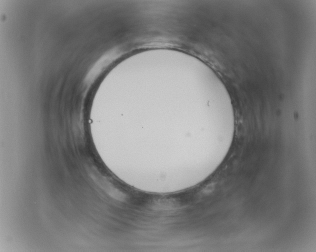 X0000074310296200609152014