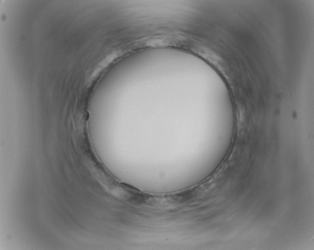 X0000074310297200609152014