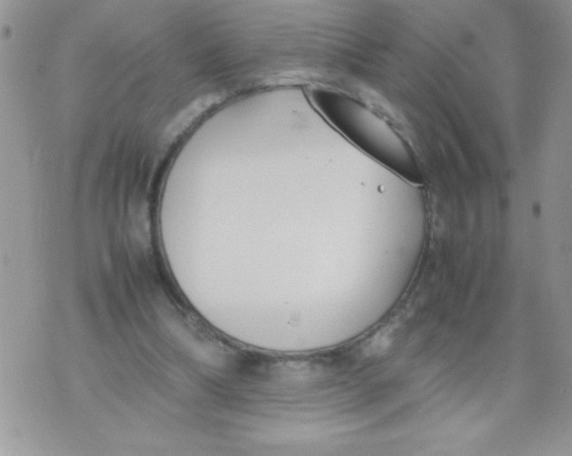 X0000074310298200609152013