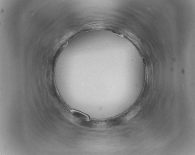 X0000074310301200609152013