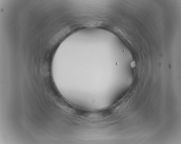 X0000074310303200609152013