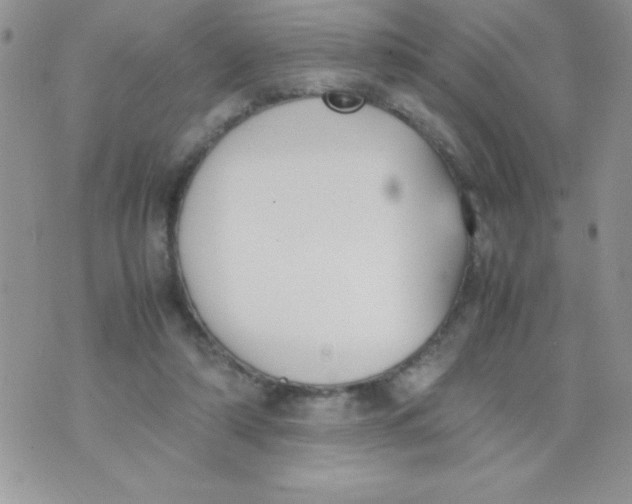 X0000074310306200609152013