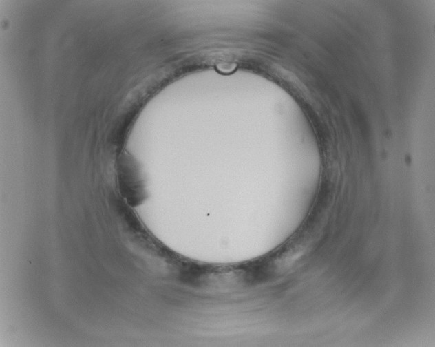 X0000074310307200609152013