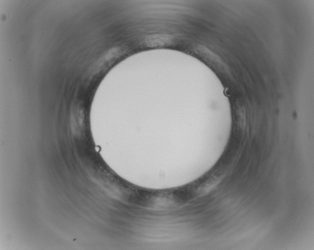 X0000074310308200609152013