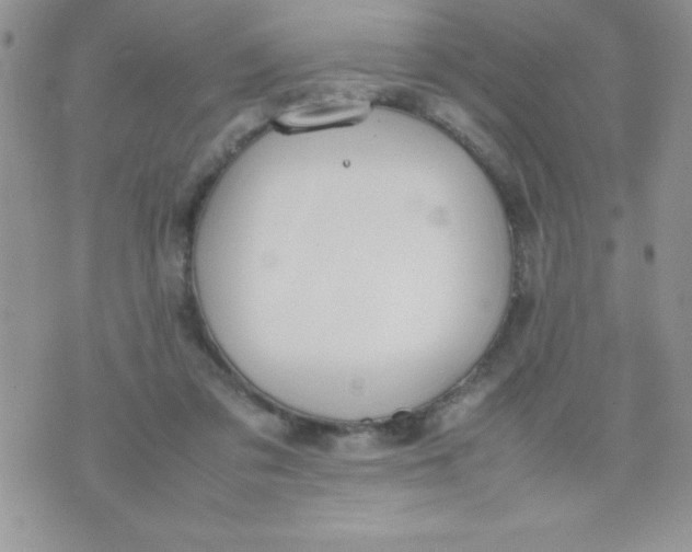 X0000074310309200609152013