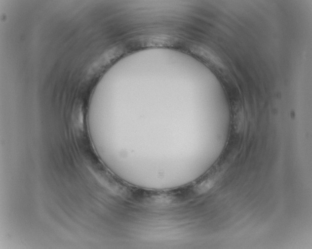 X0000074310310200609152013