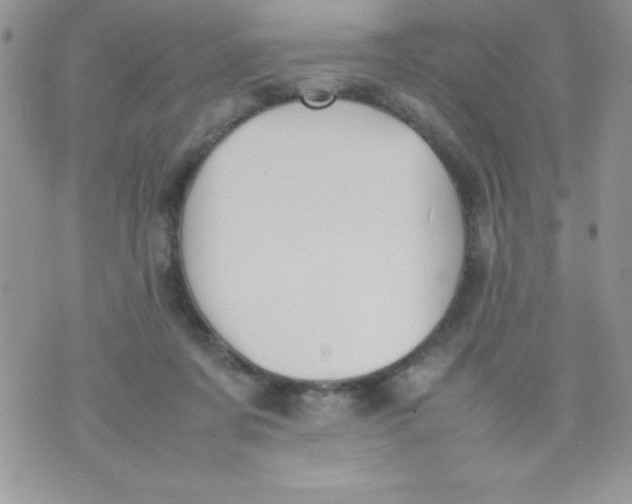 X0000074310311200609152013