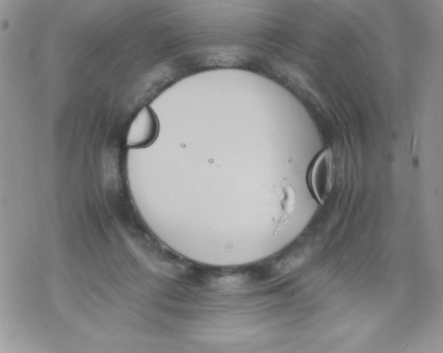 X0000074310312200609152013