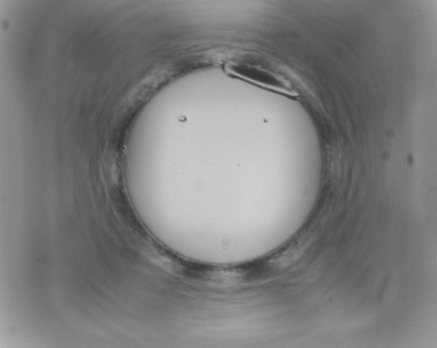 X0000074310313200609152013