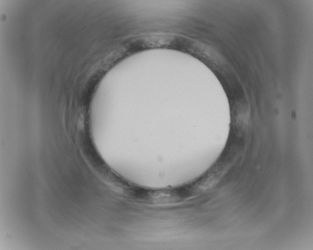 X0000074310315200609152013