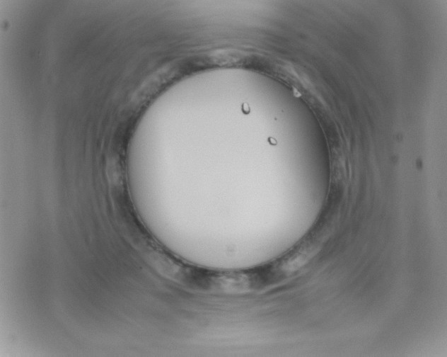 X0000074310317200609152013