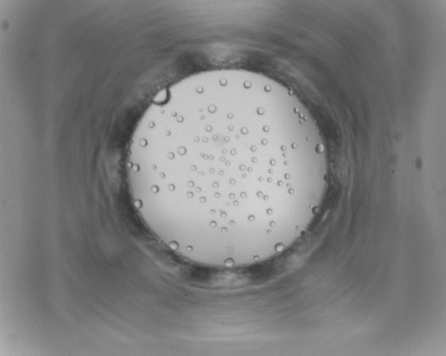 X0000074310319200609152013