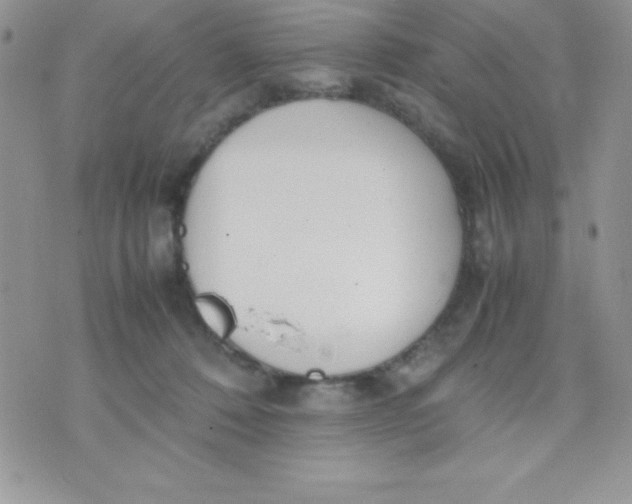 X0000074310320200609152013