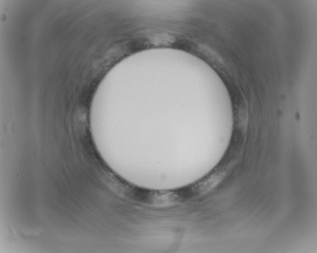 X0000074310321200609152013