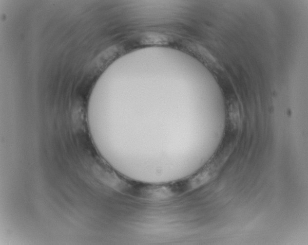 X0000074310322200609152013